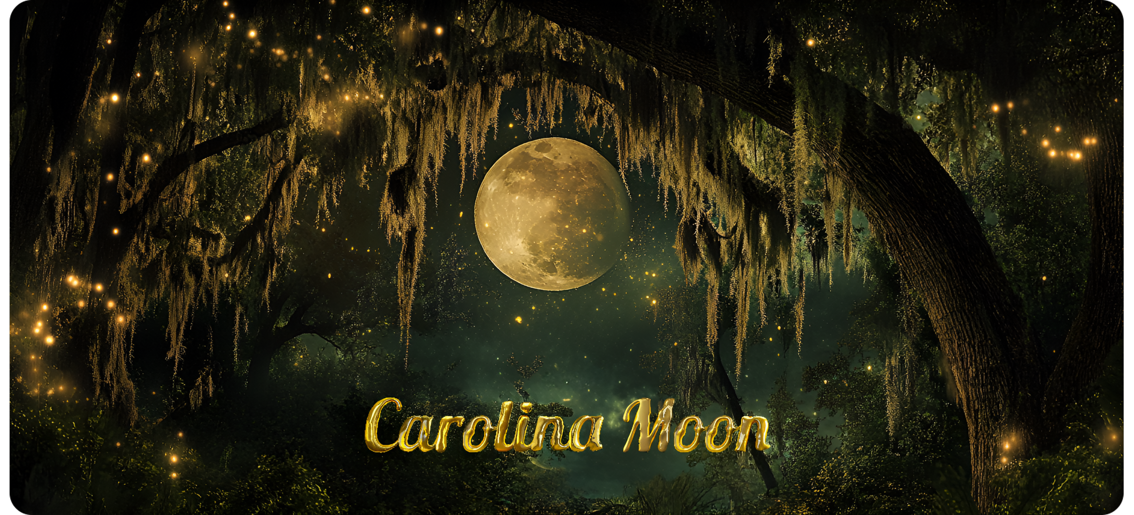 Carolina Moon Tarot Readings