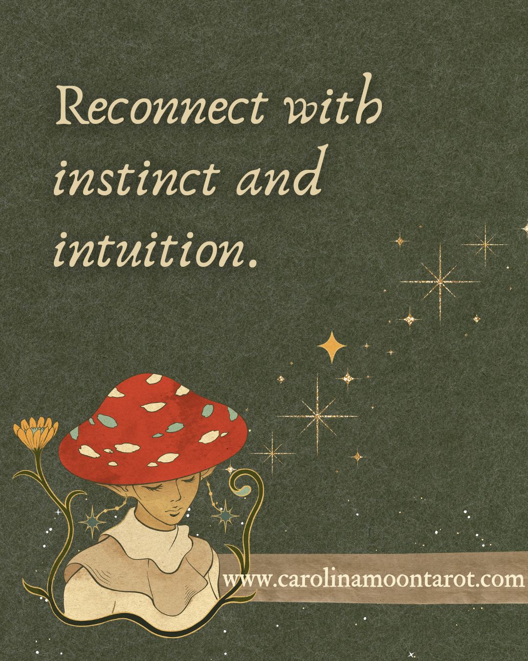 Personalized intuitive guidance and tarot readings for clarity, confidence, and aligned decision making