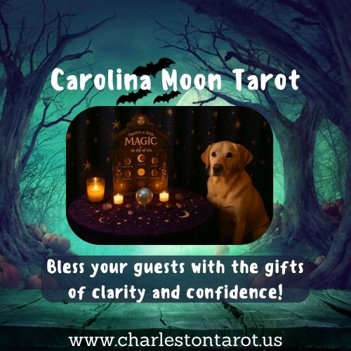 Charleston Halloween Event Entertainment - Carolina Moon Tarot - Lowcountry Party Tarot Reader near Charleston, SC